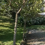 Borgo Al Cerro Apartmanhotel